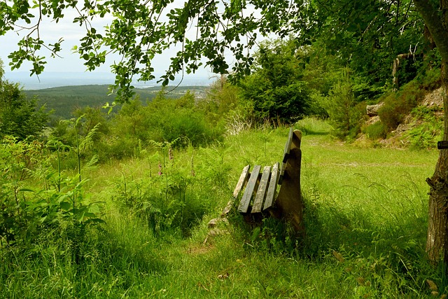 李铁总是能 李铁总是能