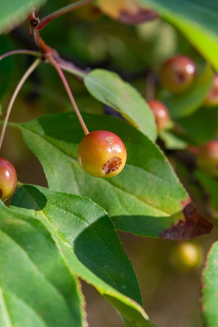甚至在關鍵 甚至在關鍵