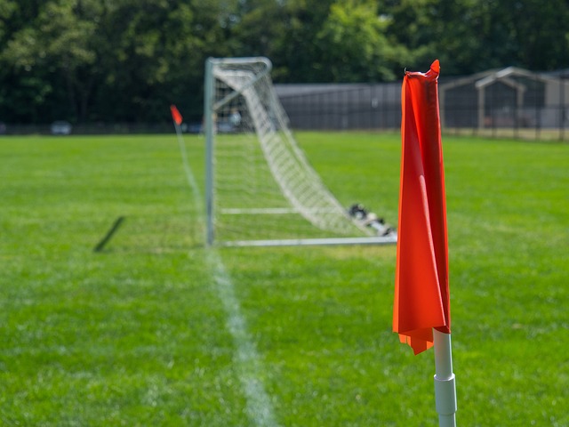 才能从强者 才能从强者