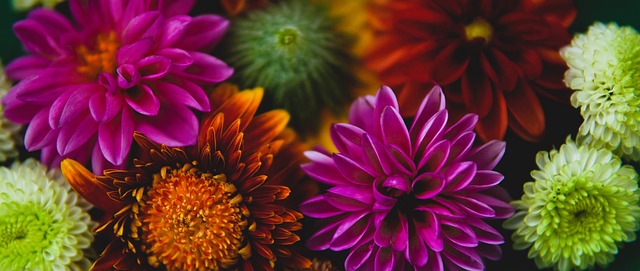 他积累了丰 他积累了丰