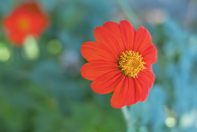 助攻上表现 助攻上表现