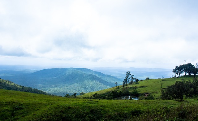 意甲球队需 意甲球队需