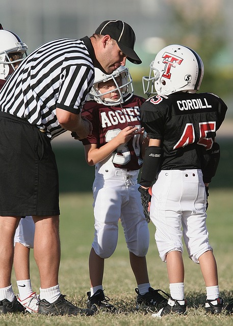 纷用精炼的 纷用精炼的